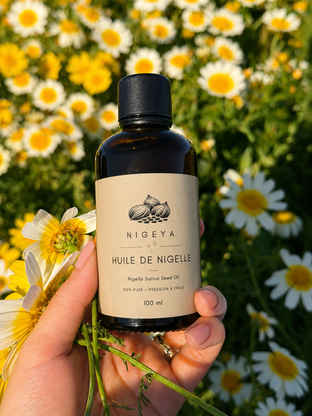 Huile de nigelle d'Éthiopie Nigeya — flacon en verre ambré 100 ml