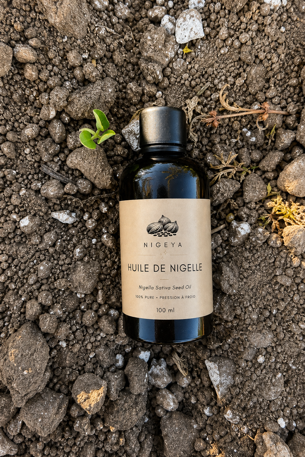 Huile de Nigelle d'Éthiopie