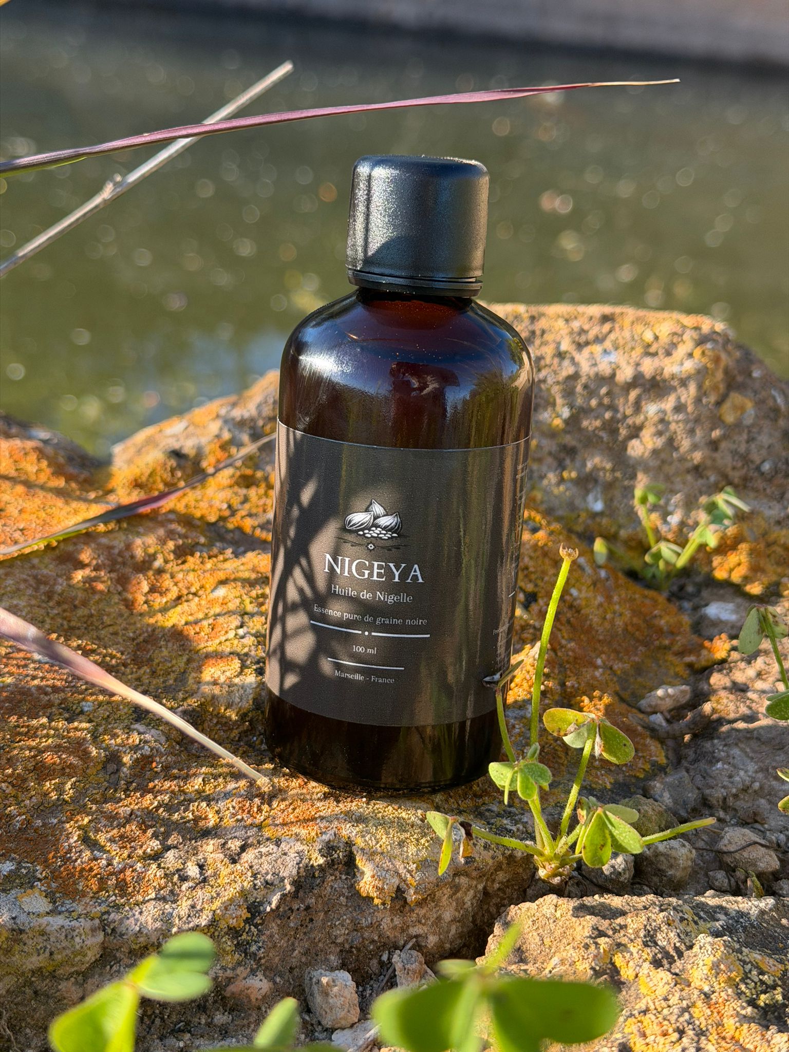 Huile de Nigelle Pure - Nigeya